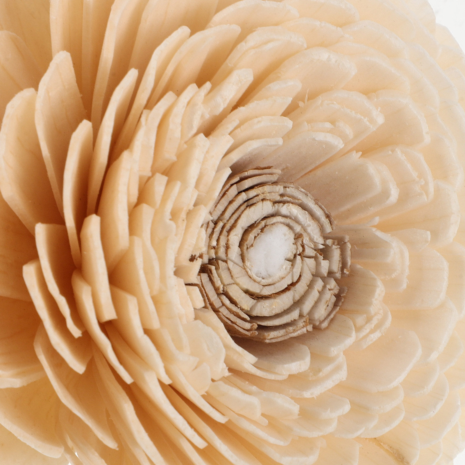 4 Adet Çiçek Desenli Difüzör Ç - Home Fragrance Leather Diffuser incelemesi ve fiyatı